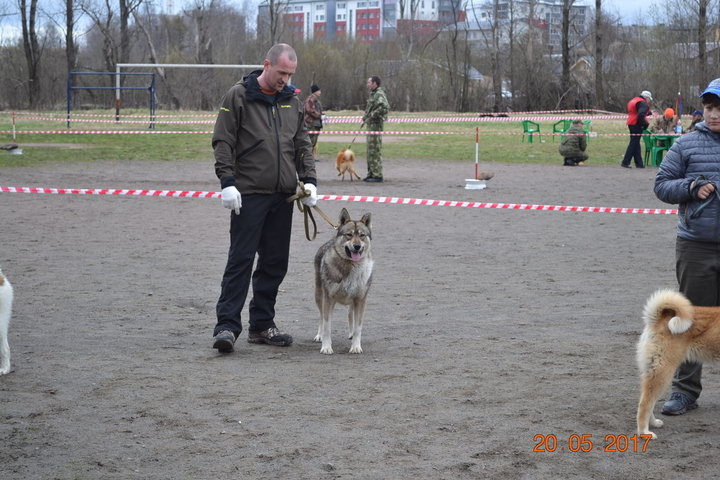 DSC_0537.JPG