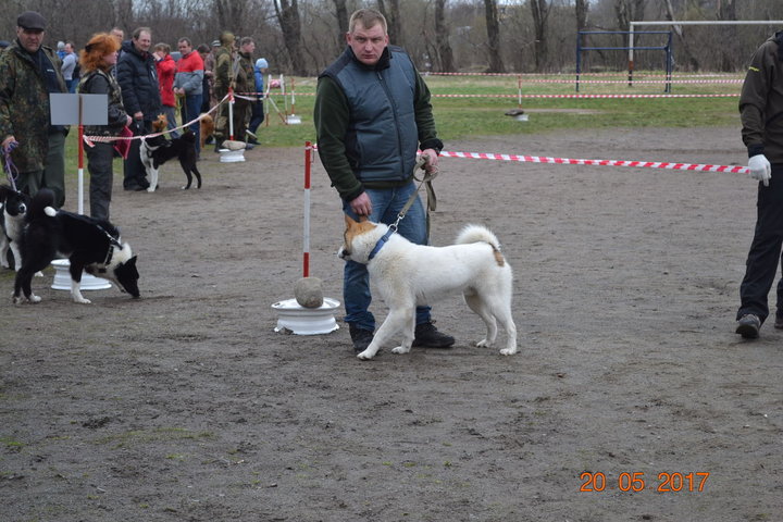 DSC_0538.JPG