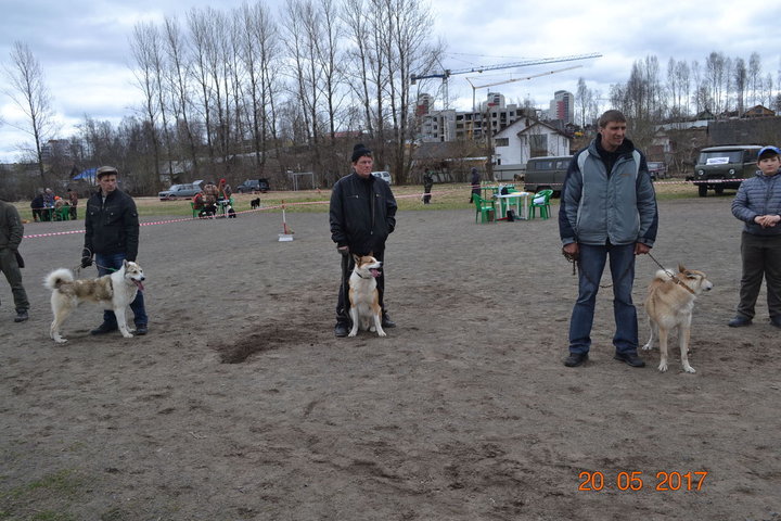 шестое, пятое и четвертое