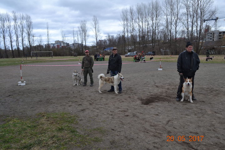 седьмое место слева