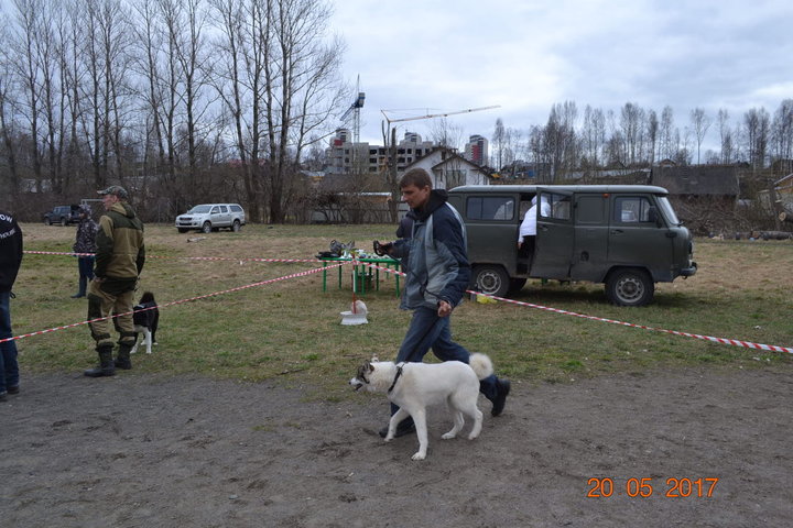 DSC_0684.JPG