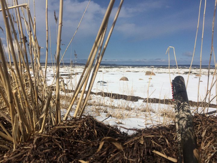 IMG_2869-17-05-17-00-03.JPG (312.1 КБ) 5750 просмотров IMG_2869-17-05-17-00-03.JPG