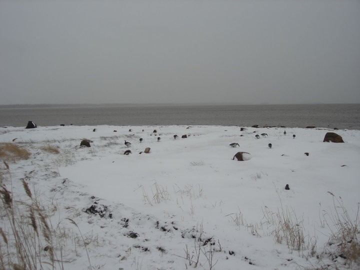 DSC08933.JPG (126.75 КБ) 5708 просмотров DSC08933.JPG