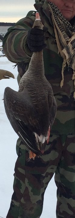 889-17-05-17-00-02.jpg (222.7 КБ) 5274 просмотра 889-17-05-17-00-02.jpg