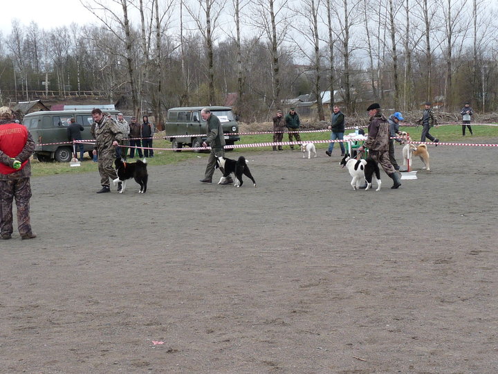 P1020241.JPG