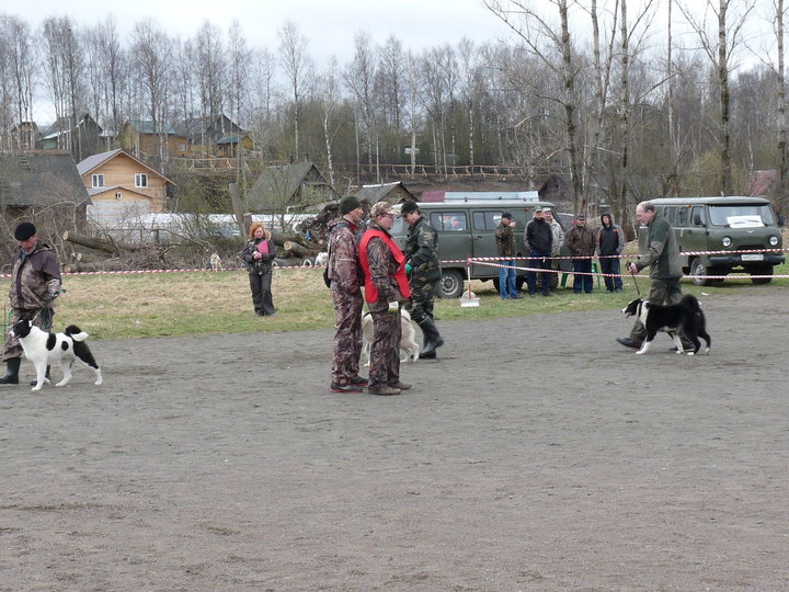 P1020237.JPG