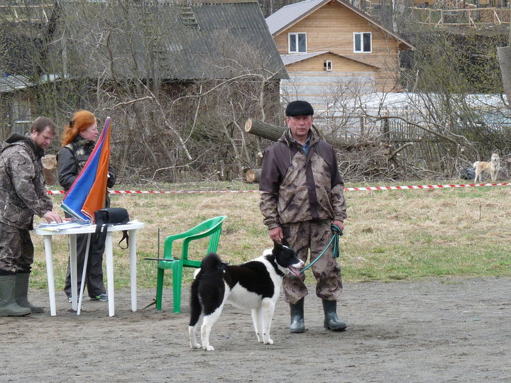 P1020236.JPG