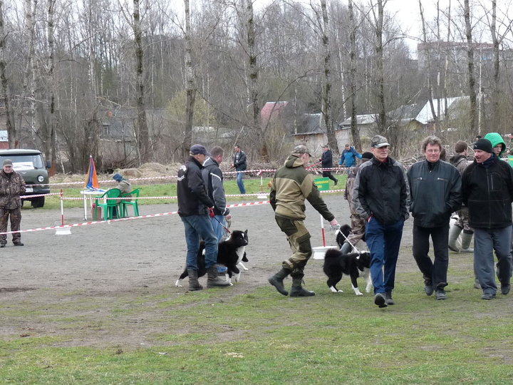 P1020228.JPG