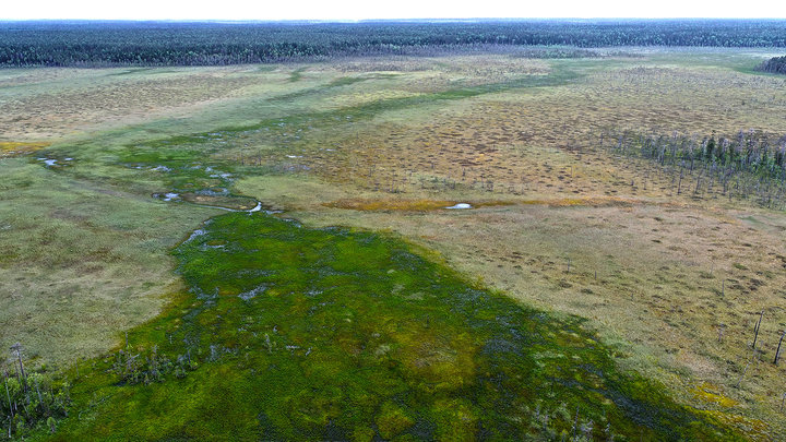 DJI_0064.jpg