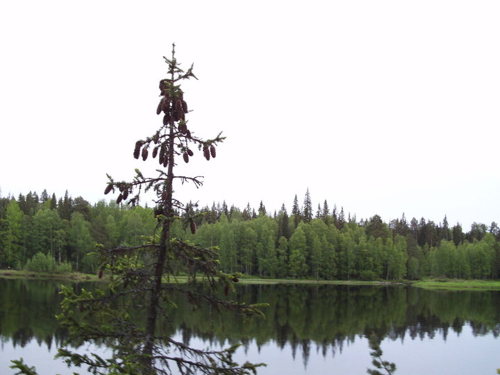 FILE0024.JPG