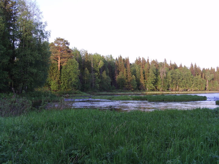 FILE0055.JPG