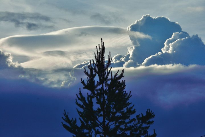 DSC_4163.JPG