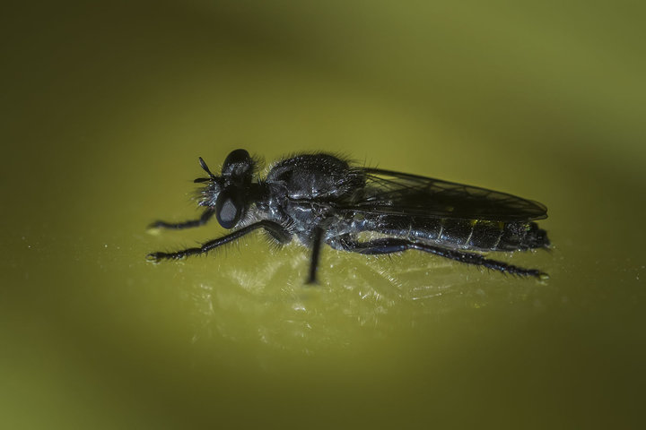 A0002725 1.jpg