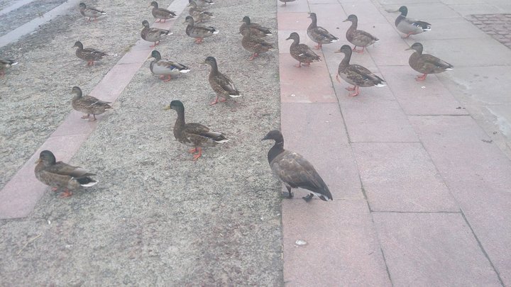 DSC_0032.JPG