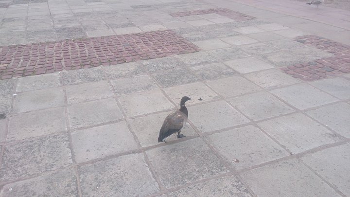 DSC_0031.JPG