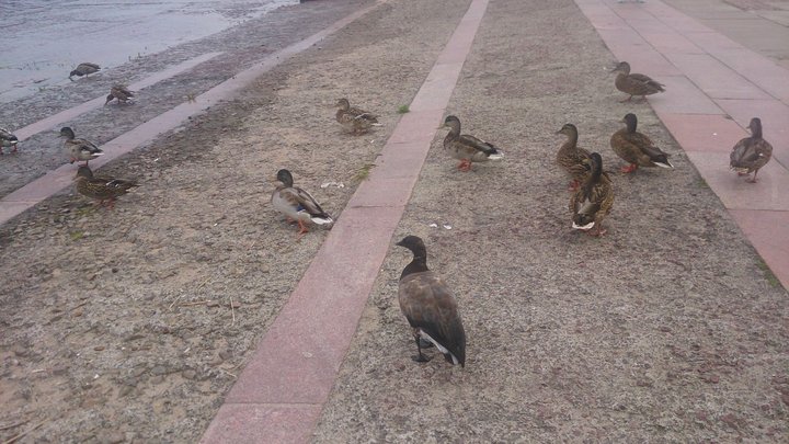 DSC_0033.JPG