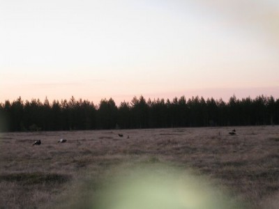 IMG_0862.JPG