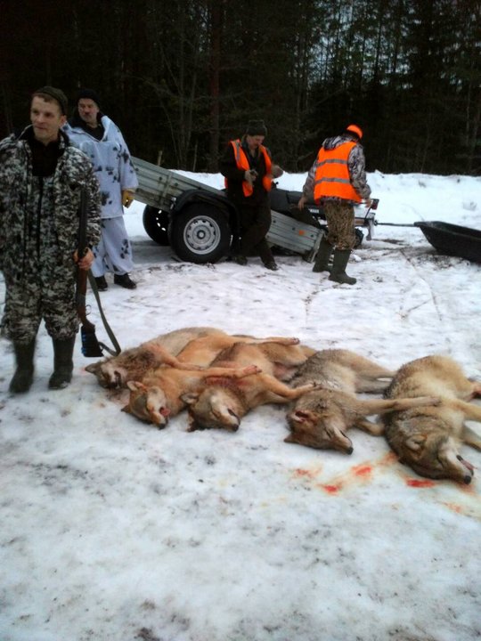 IMG-807ed27913c523685b98fa49fcfe69a8-V.jpg (129.21 КБ) 6095 просмотров IMG-807ed27913c523685b98fa49fcfe69a8-V.jpg