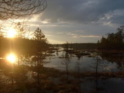 S6308094.JPG