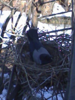 120420102468_resize.jpg
