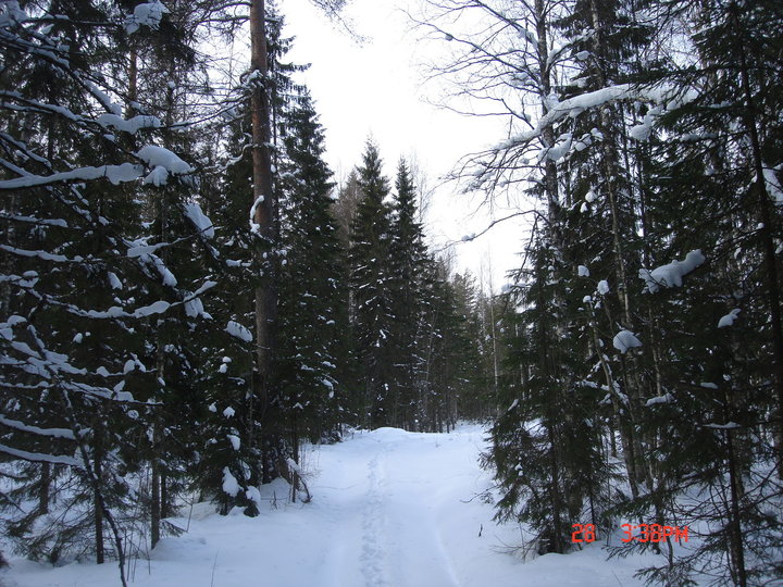 DSC09265.JPG