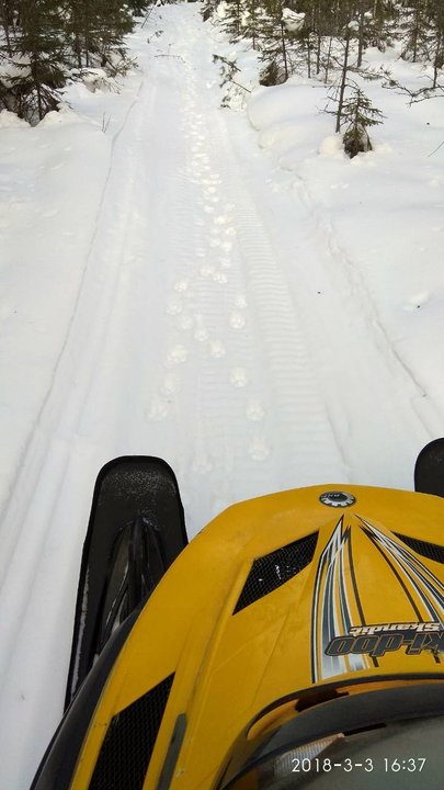 IMG-9537e02734be7c9f731f76279d6799a9-V.jpg