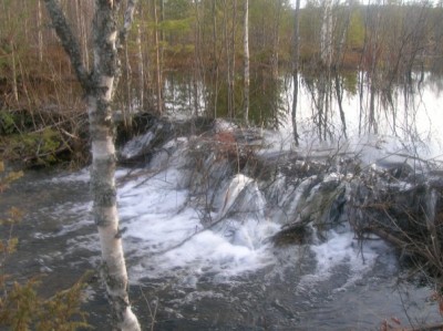Плотина