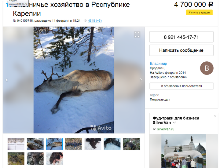 Безымянный.png 3.png