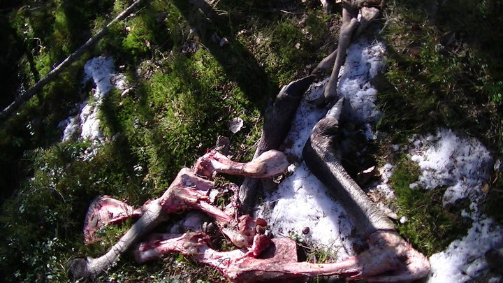 PIC_0026.JPG