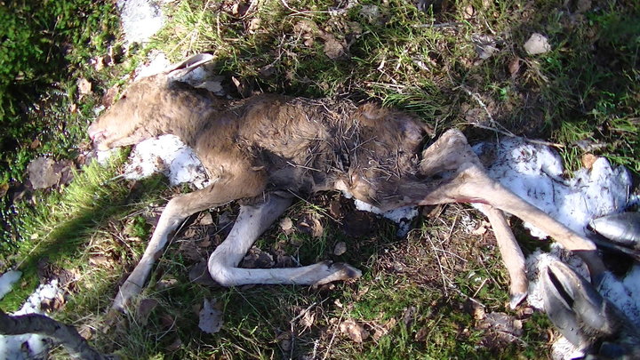 PIC_0030.JPG