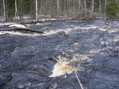 m_DSCF6059.jpg