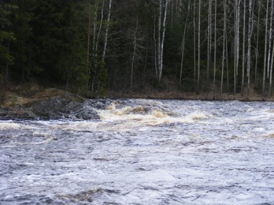 m_DSCF6158.jpg