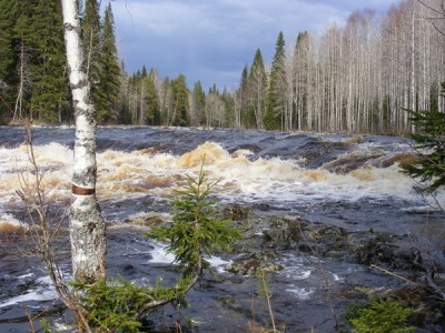 m_DSCF6169.jpg