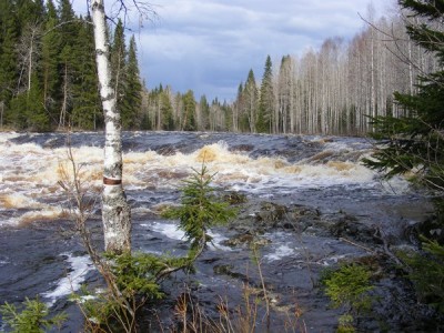 m_DSCF6170.jpg