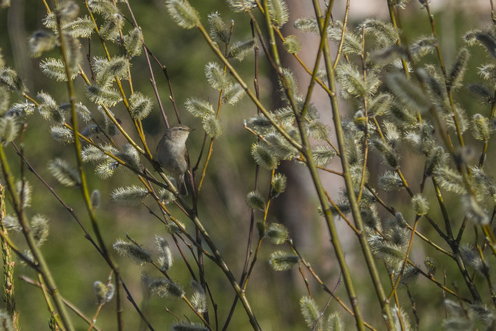 P5090464.jpg