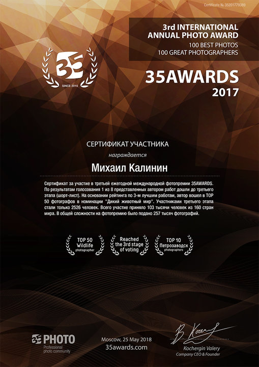 35awards2017_ru.jpg