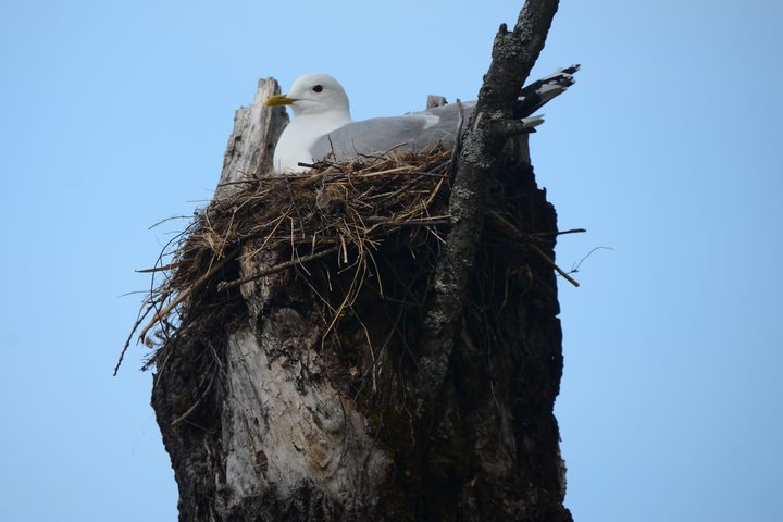 DSC_4406.JPG