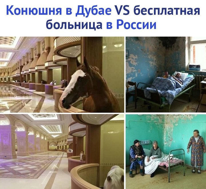 333.jpg