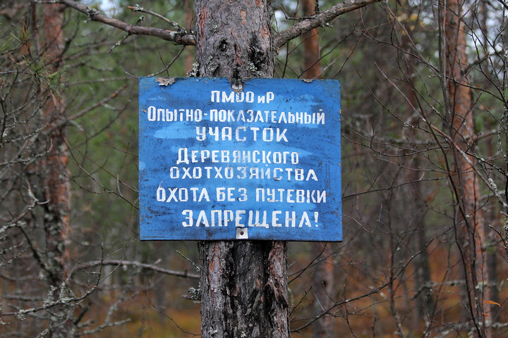 IMG_8865.jpg