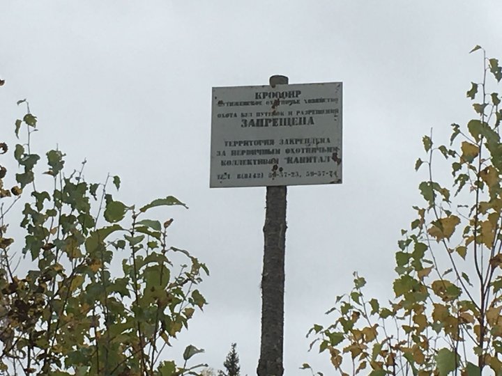 аншлаг.jpg