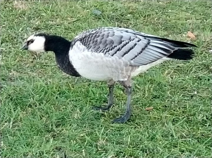 IMG_20180929_173751.jpg