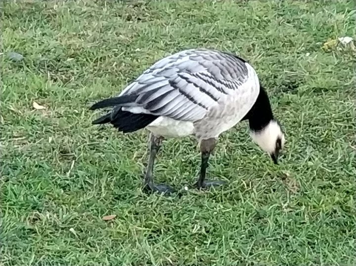 IMG_20180929_173734.jpg