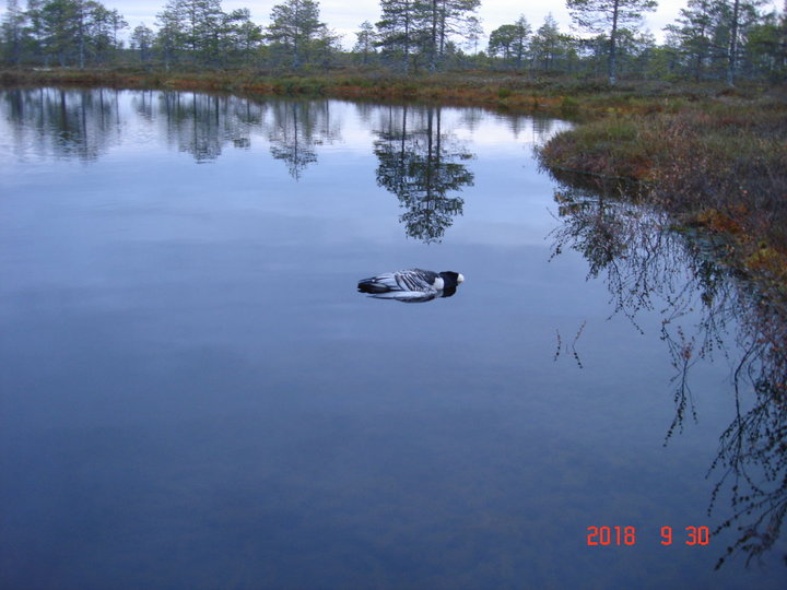 DSC09511.JPG