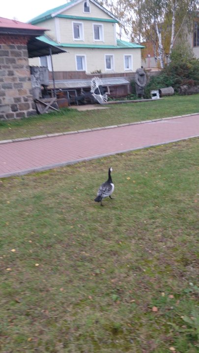 DSC_0010.JPG