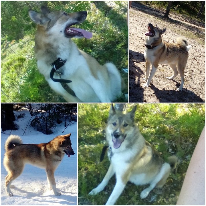 8ZKJRNqVMEk.jpg (518.35 КБ) 19260 просмотров 8ZKJRNqVMEk.jpg