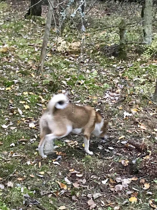 viber image.jpg (192.53 КБ) 19231 просмотр viber image.jpg