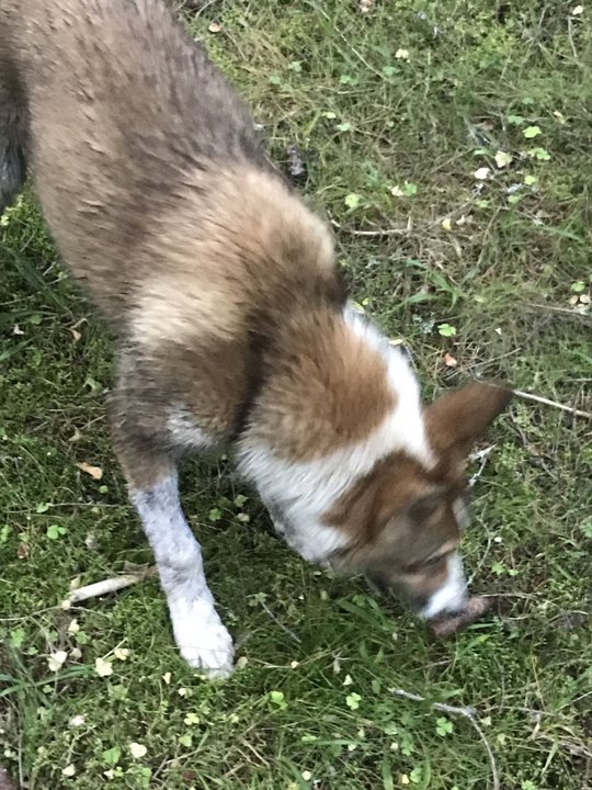 viber image2.jpg (217.3 КБ) 16747 просмотров viber image2.jpg