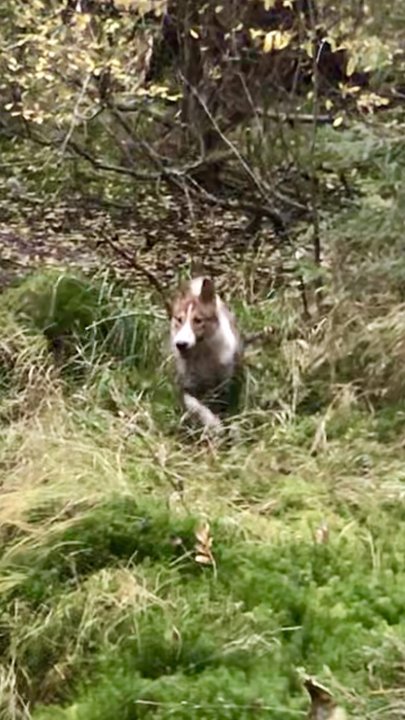 viber image3.jpg (206.81 КБ) 19231 просмотр viber image3.jpg