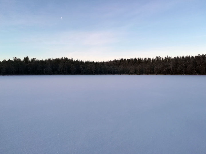 IMG_20181129_112405.jpg