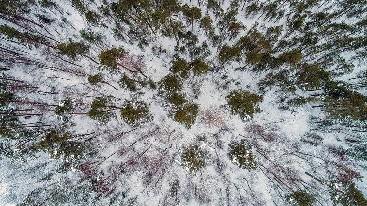 DJI_0072-1600.jpg
